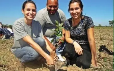 Rio de Janeiro faz faz mutirão de reflorestamento em Área de Proteção Ambiental