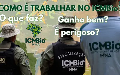 Qual é a Rotina de um Analista Ambiental do ICMBio?
