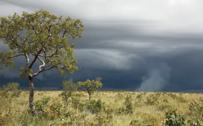 Seca avança no Cerrado