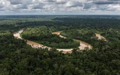 Segundo a NASA, Florestas tropicais absorveram menos carbono entre 2000 e 2019