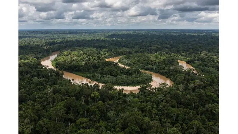 Segundo a NASA, Florestas tropicais absorveram menos carbono entre 2000 e 2019