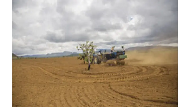 Semeadura direta e "topsoil": boas técnicas para a restauração do Cerrado