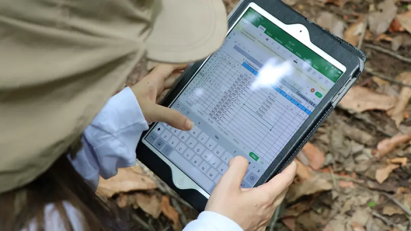 NOVIDADE: Serviço Florestal Brasileiro coletará tecido vegetal de plantas para iniciar biblioteca de DNA barcoding