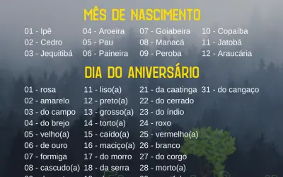 Seu nome de árvore se você fosse uma