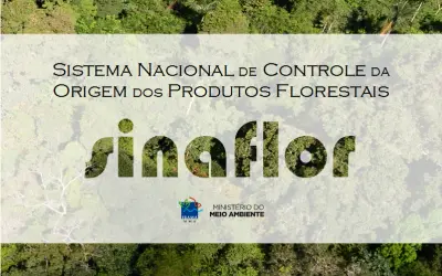 SINAFLOR emite primeiras autorizações e estados tem até o fim do ano para integrar seus sistemas