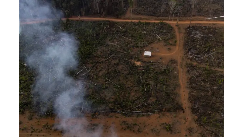 Sobrevoo mostra que o sul do AM é a nova fronteira do desmatamento