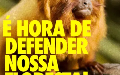 Sociedade civil se mobiliza contra norma que pretende alterar Código Florestal