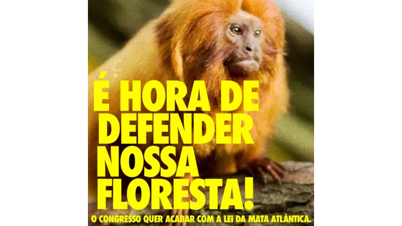 Sociedade civil se mobiliza contra norma que pretende alterar Código Florestal