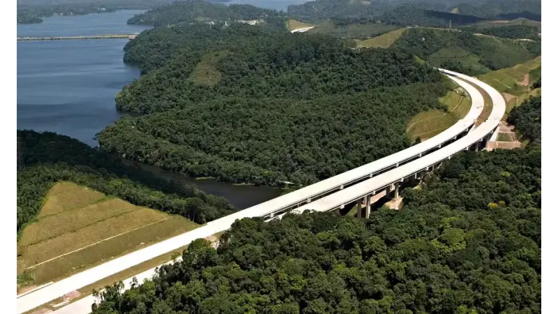SP lança plano para reduzir atropelamento de animais em rodovias