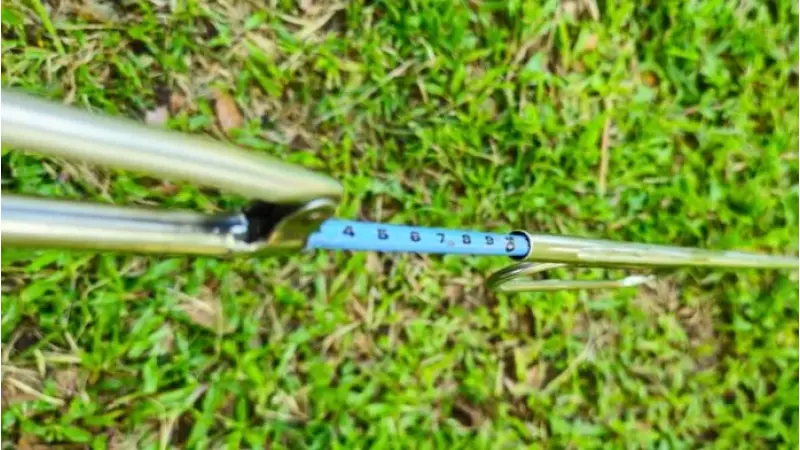 Tecnologia Inovadora desenvolvida por Engenheiro Florestal mede ocos em Árvores e "previne" queda de árvores