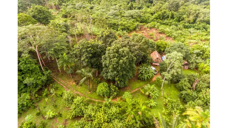Transformação do sistema de produção alimentar pode trazer benefícios bilionários