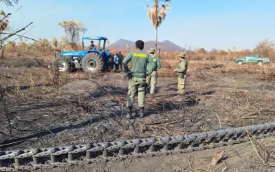 Tratores com correntões devasta o que restou do Pantanal após incêndios