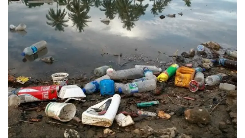 Tributação pode estimular reciclagem e diminuir geração de resíduos, diz pesquisadora