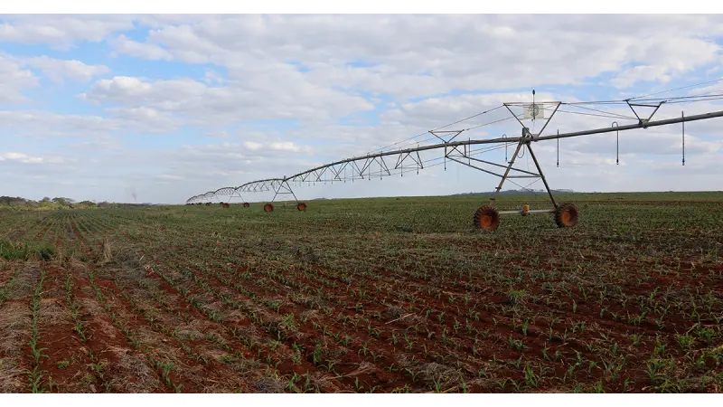 Tríplice monotonia: como a agricultura homogênea ameaça o solo e a saúde