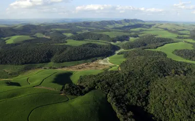 Um ponto-final na dúvida: florestas contínuas conservam mais biodiversidade que áreas florestais fragmentadas