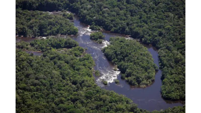 Usinas propõe inundar 1.085 km² da Amazônia