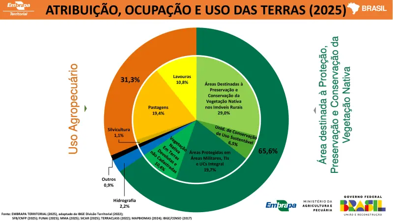 Vegetação nativa cobre 65,6% do Brasil, segundo Embrapa Territorial