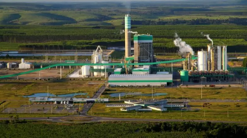 Veracel Celulose divulga edital para contratação de Especialista em manutenção de colheita