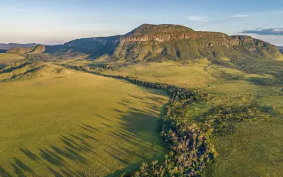 O tesouro subterrâneo do Cerrado: Veredas armazenam 8 vezes mais carbono que a biomassa da Amazônia